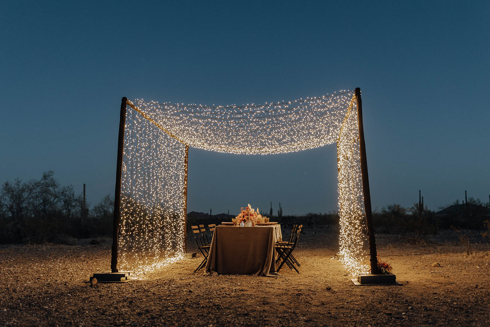 Starry Nighttime Wedding
